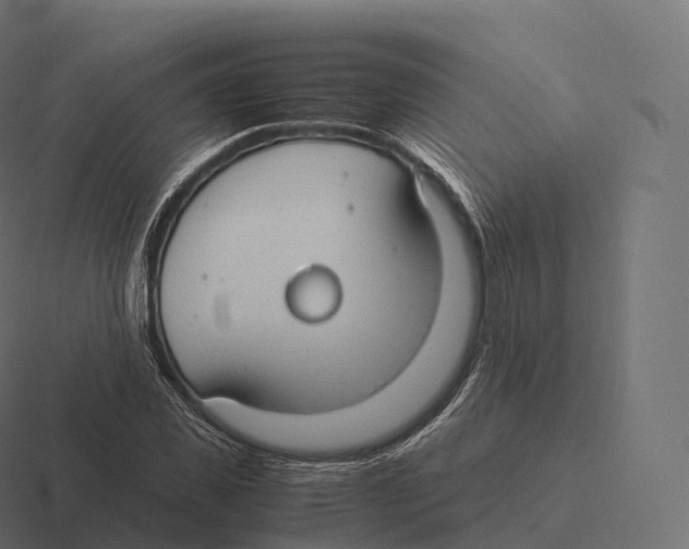 X0000116310925200912291448