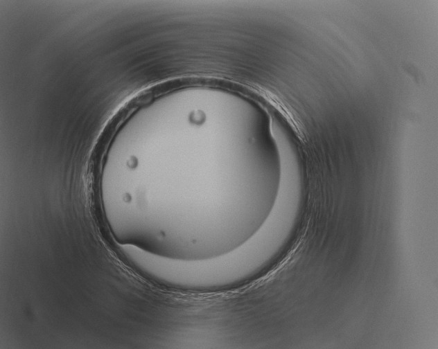 X0000116310926200912291448