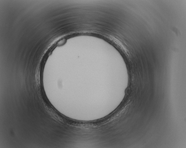 X0000116310934200912291448