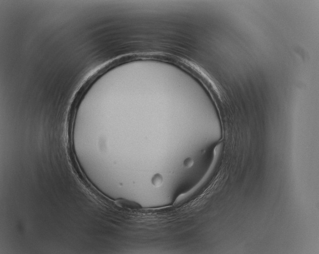 X0000116310935200912291448