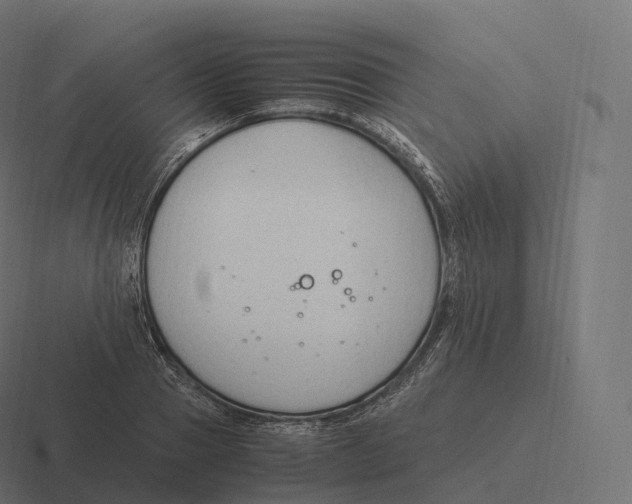 X0000116310937200912291448