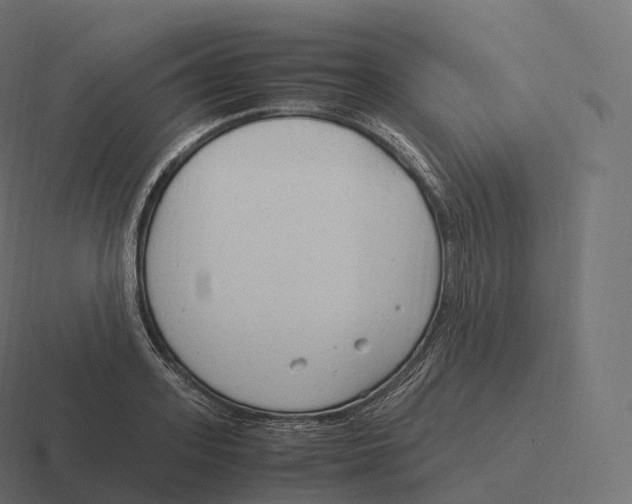 X0000116310939200912291448