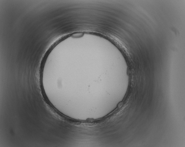 X0000116310942200912291448