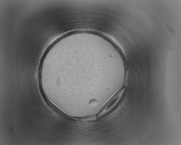 X0000116310943200912291448