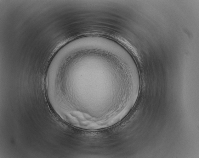 X0000116310945200912291448