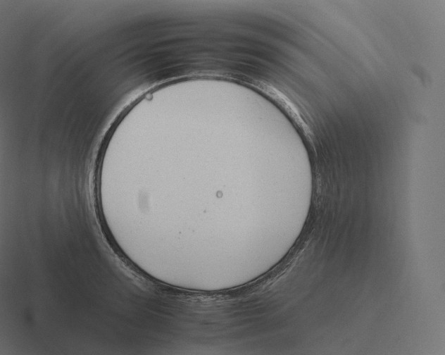 X0000116310947200912291448