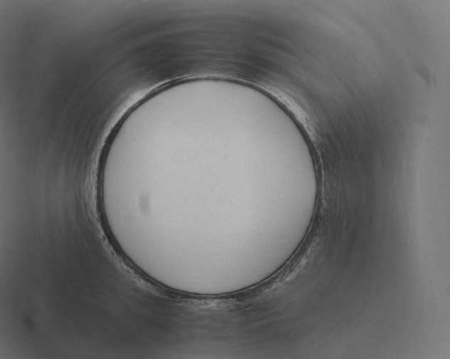 X0000116310949200912291448