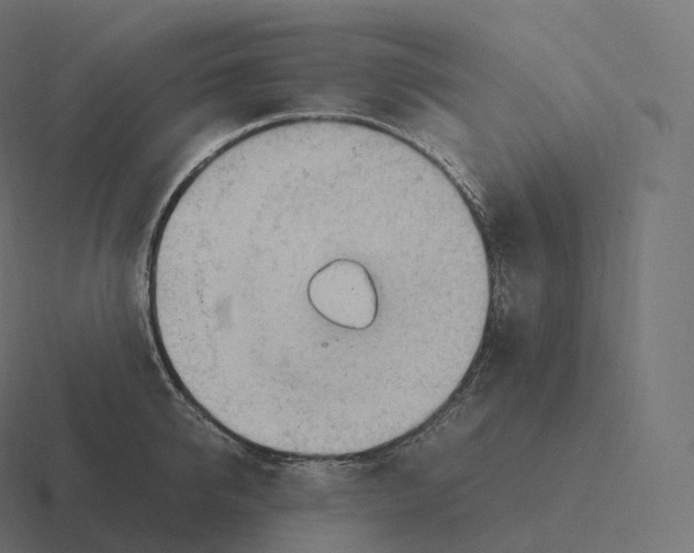 X0000116310950200912291448