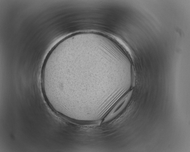 X0000116310951200912291448