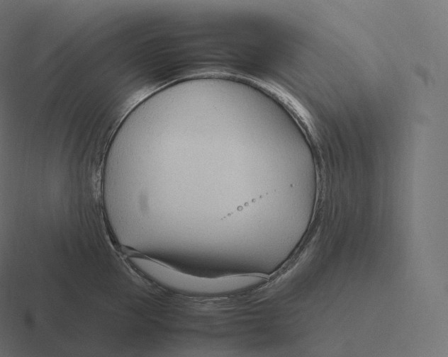 X0000116310953200912291448