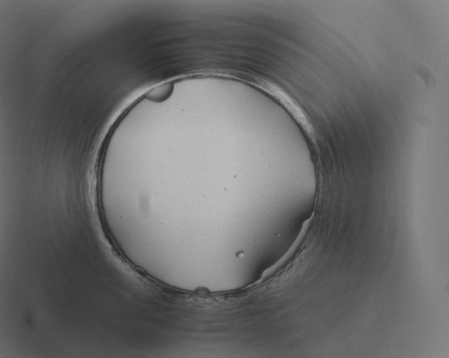 X0000116310955200912291448