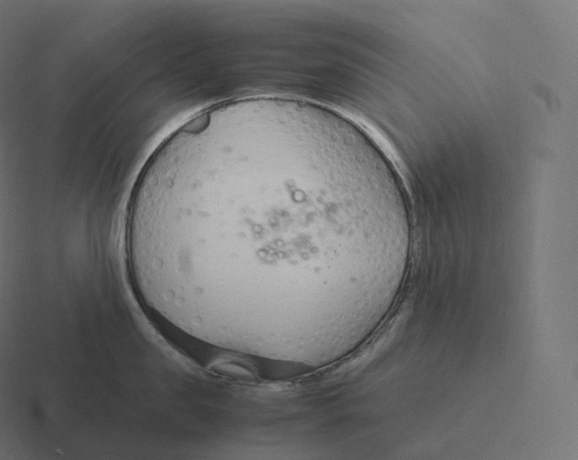 X0000116310957200912291448