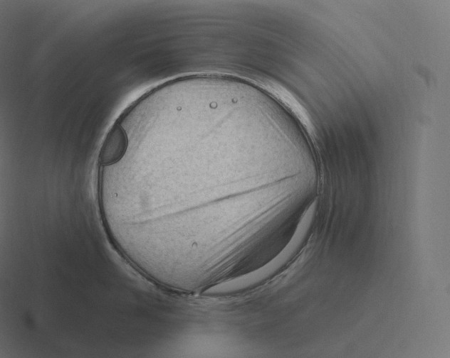 X0000116310958200912291448