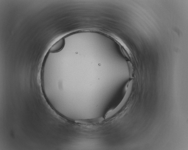 X0000116310959200912291448