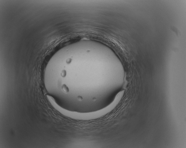 X0000116310965200912291448