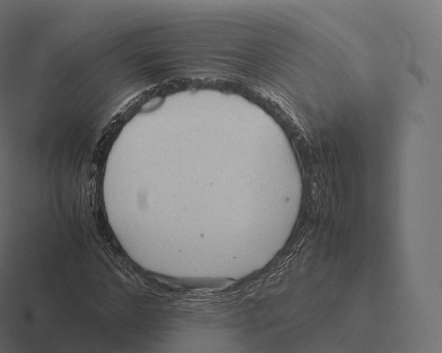 X0000116310968200912291448