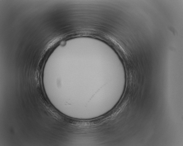 X0000116310970200912291448