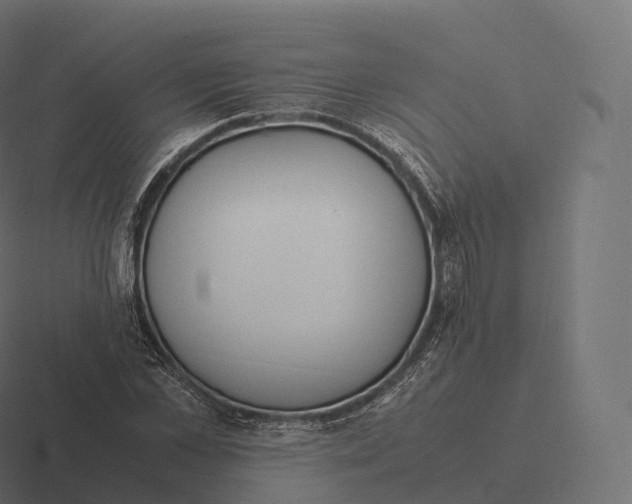 X0000116310973200912291448