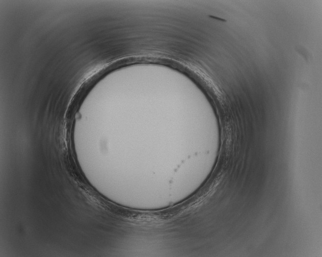 X0000116310974200912291448