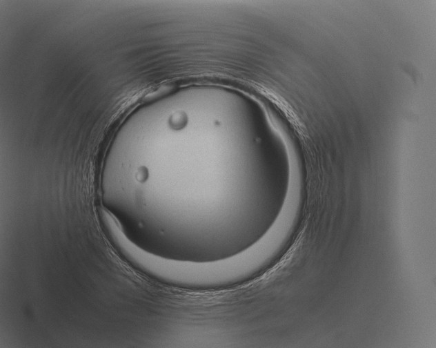 X0000116310977200912291448