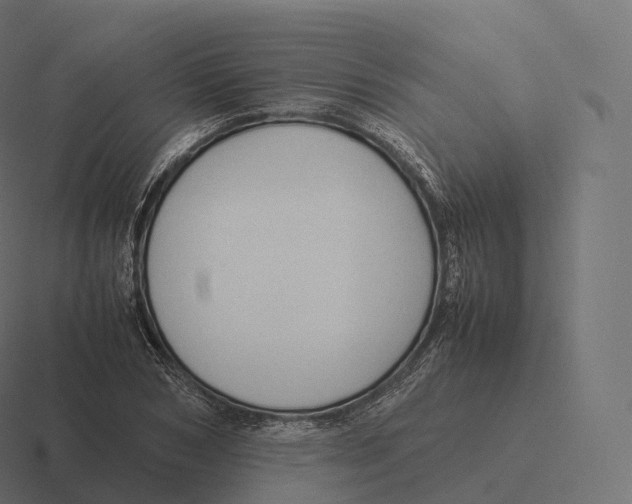 X0000116310978200912291448