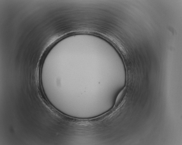 X0000116310982200912291448