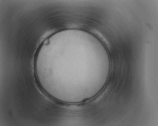 X0000116310986200912291448