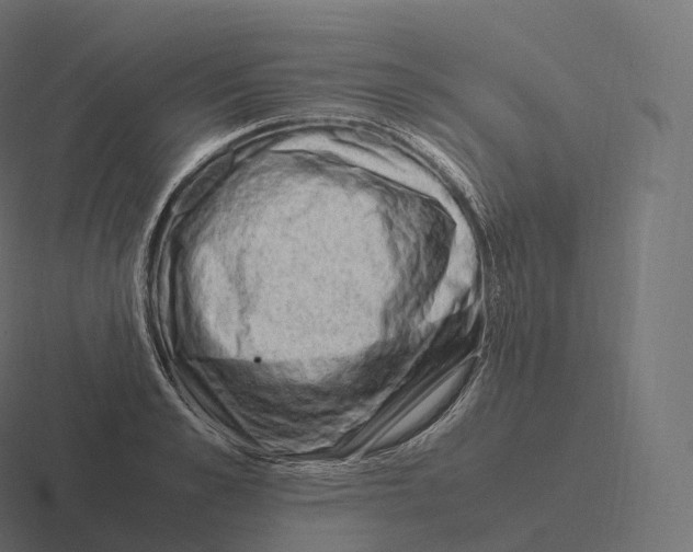 X0000116310989200912291448