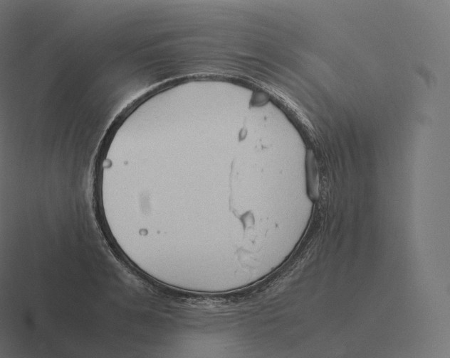 X0000116310991200912291448