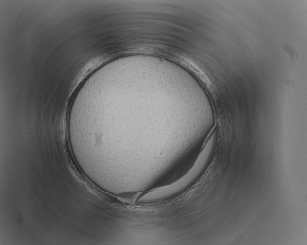 X0000116310994200912291447