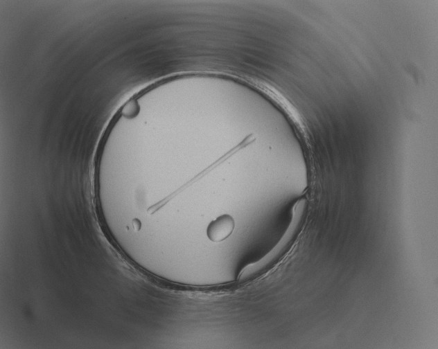 X0000116310996200912291447