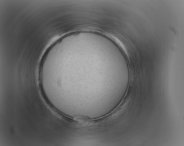 X0000116310997200912291447