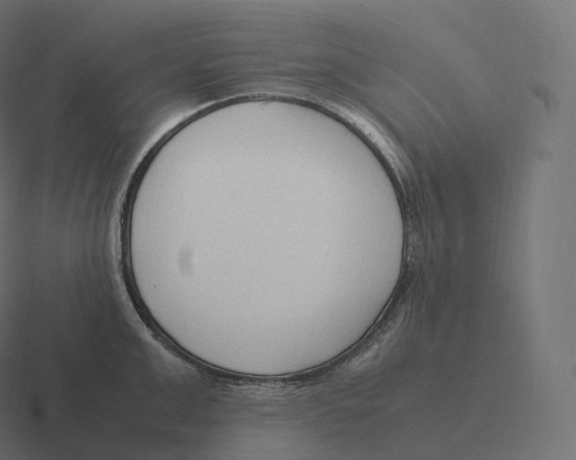 X0000116310999200912291447