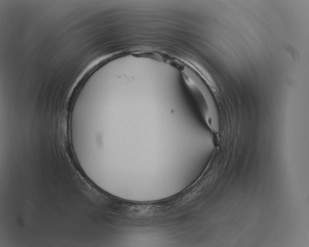 X0000116311000200912291447