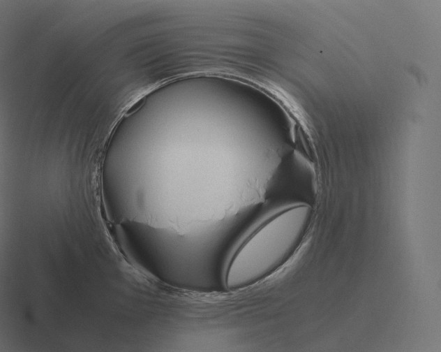 X0000116311001200912291447