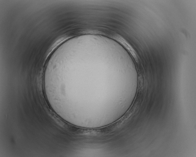 X0000116311002200912291447