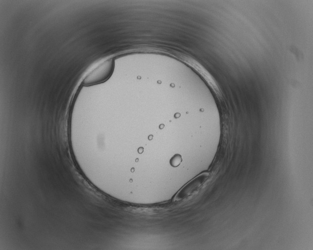 X0000116311004200912291447