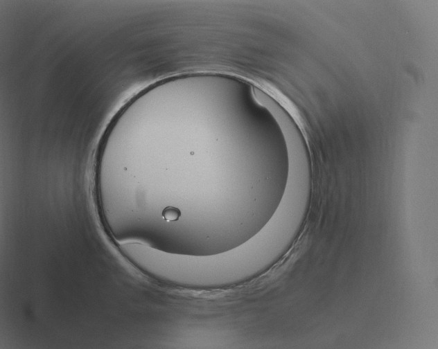 X0000116311005200912291447