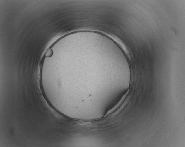 X0000116311006200912291447