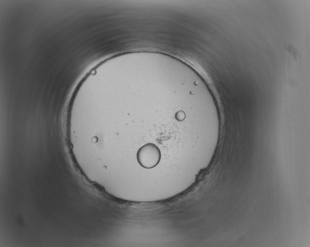 X0000116311008200912291447