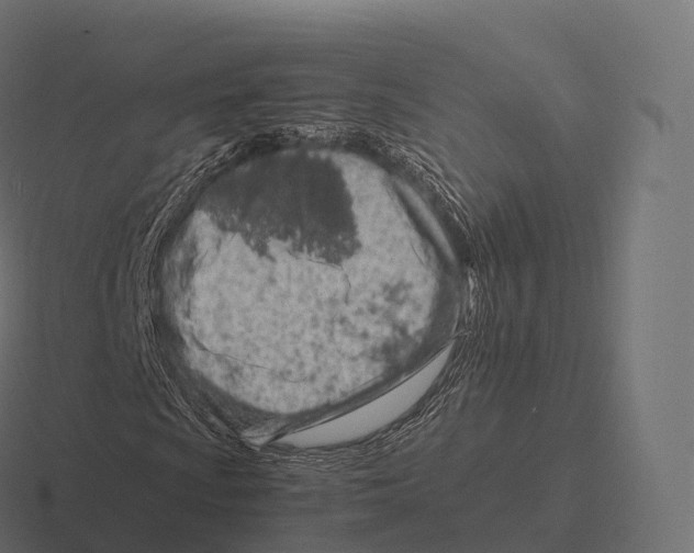 X0000116311009200912291447