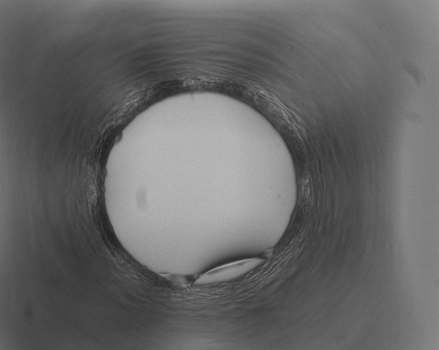 X0000116311012200912291447