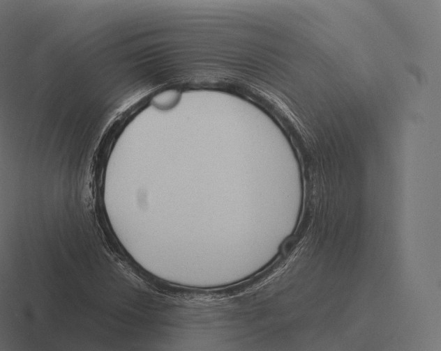 X0000116311018200912291447