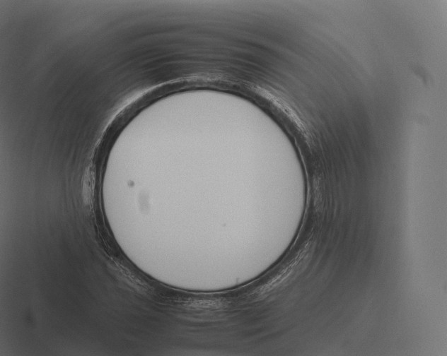 X0000116311021200912291447