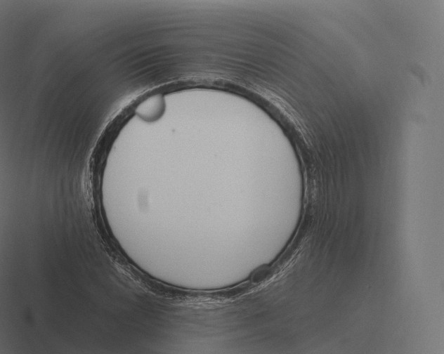 X0000116311022200912291447