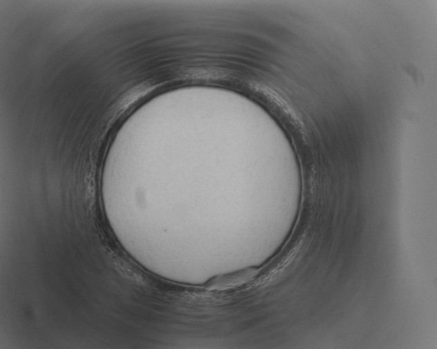 X0000116311025200912291447