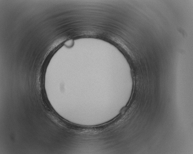 X0000116311026200912291447