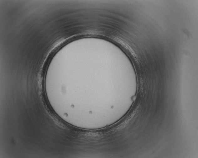 X0000116311029200912291447