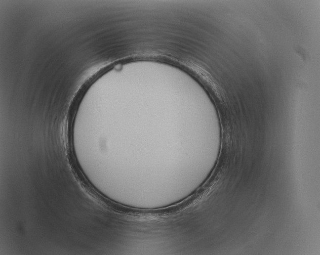 X0000116311030200912291447