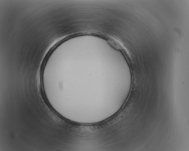 X0000116311032200912291447